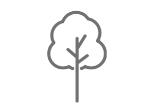 Tree Protection Tree Protection