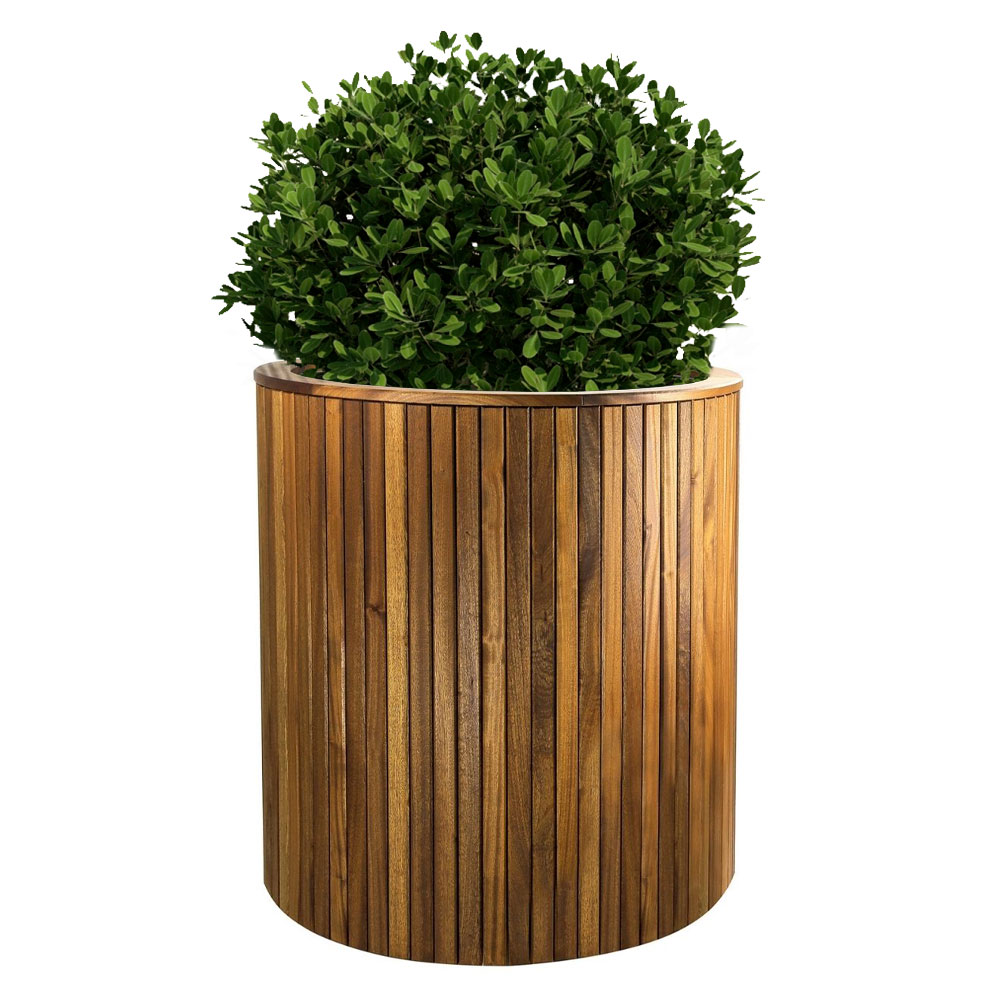 Cyclamen Timber Planter