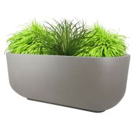 Azalea GRP Planter