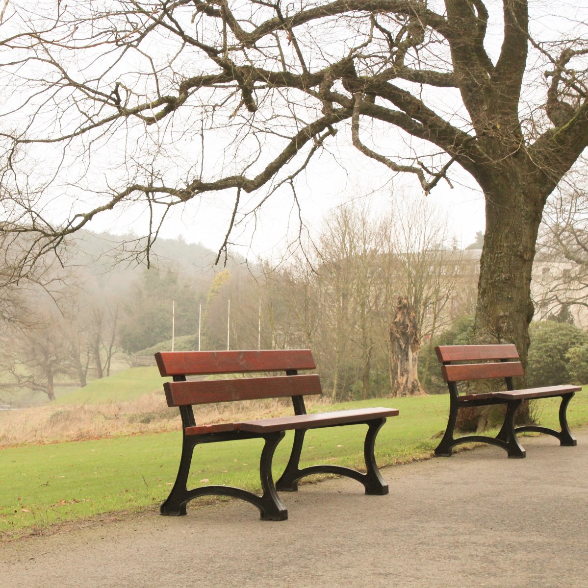 Bardot Seat