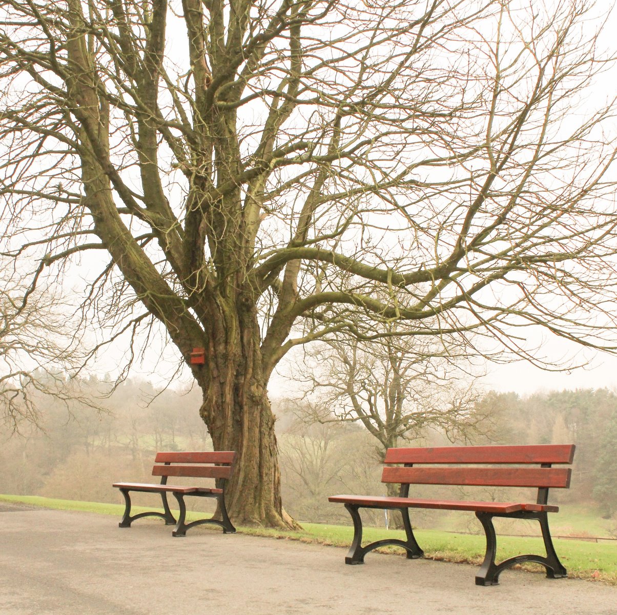 Bardot Seat