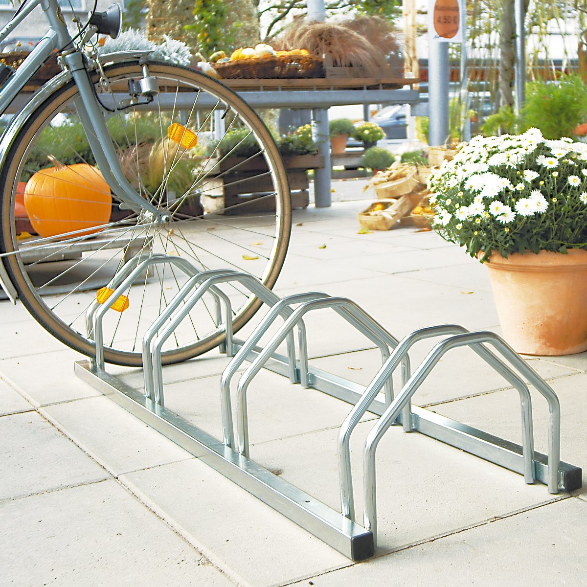 Economy Cycle Rack