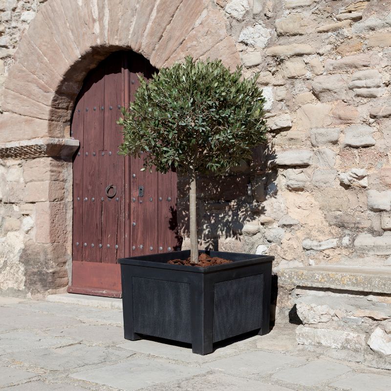 Ona Cast Iron Flower Planter