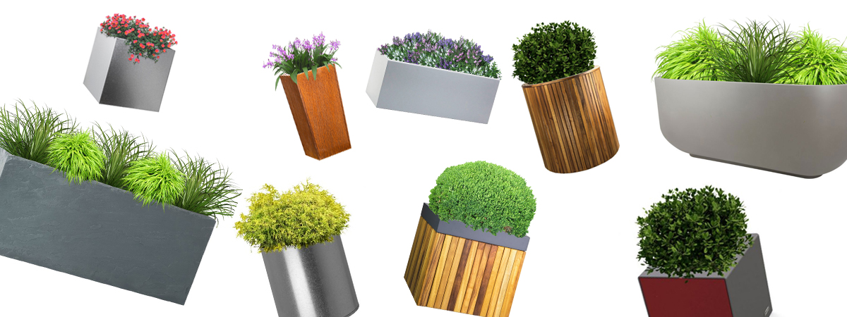 sfd planters